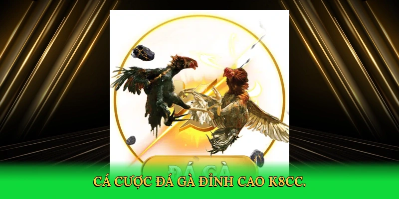 Đá Gà Miền Nam &#8211; Hành Trình Cá Cược Kịch Tính Cùng K8CC