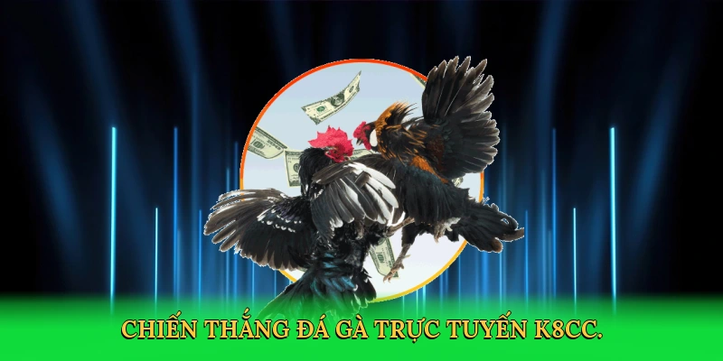 Đá Gà Miền Nam &#8211; Hành Trình Cá Cược Kịch Tính Cùng K8CC