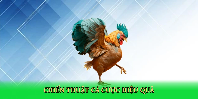 Đá Gà TT128: Hành Trình Chinh Phục Đấu Trường Gà Số Kịch Tính