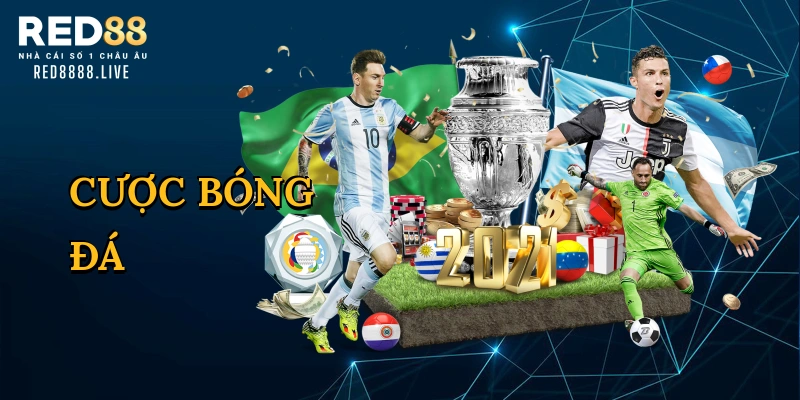 Cược bóng đá
