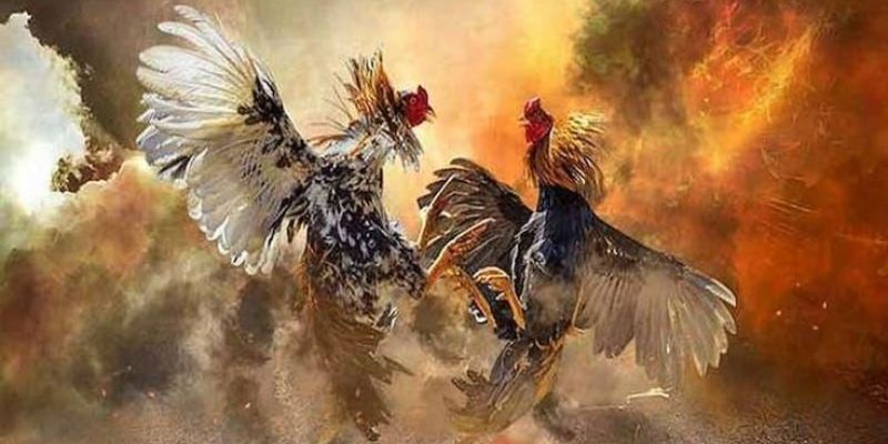 Đá Gà Online Tại Sky88 Và Cơ Hội Bùng Nổ Lợi Nhuận