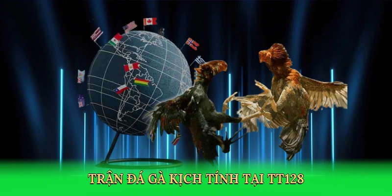 Đá Gà TT128: Hành Trình Chinh Phục Đấu Trường Gà Số Kịch Tính
