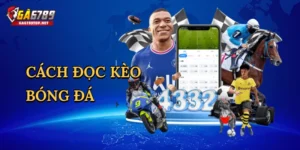 Phỏm Online – Thống Lĩnh Bàn Cược Truyền Thống Tại 98win