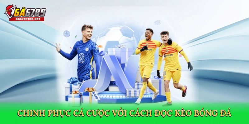 Chinh phục cá cược với Cách đọc kèo bóng đá