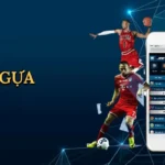 dua-ngua-go789-1
