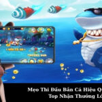 Mẹo Thi Đấu Bắn Cá Hiệu Quả Để Leo Top Nhận Thưởng Lớn