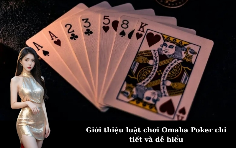 Giới thiệu luật chơi Omaha Poker chi tiết và dễ hiểu